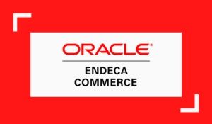 oracle endeca commerce
