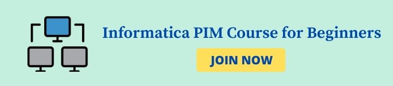 Informatica PIM Course