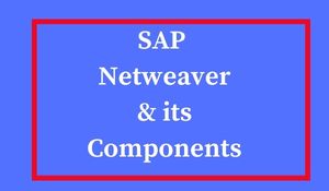 SAP Netweaver Training